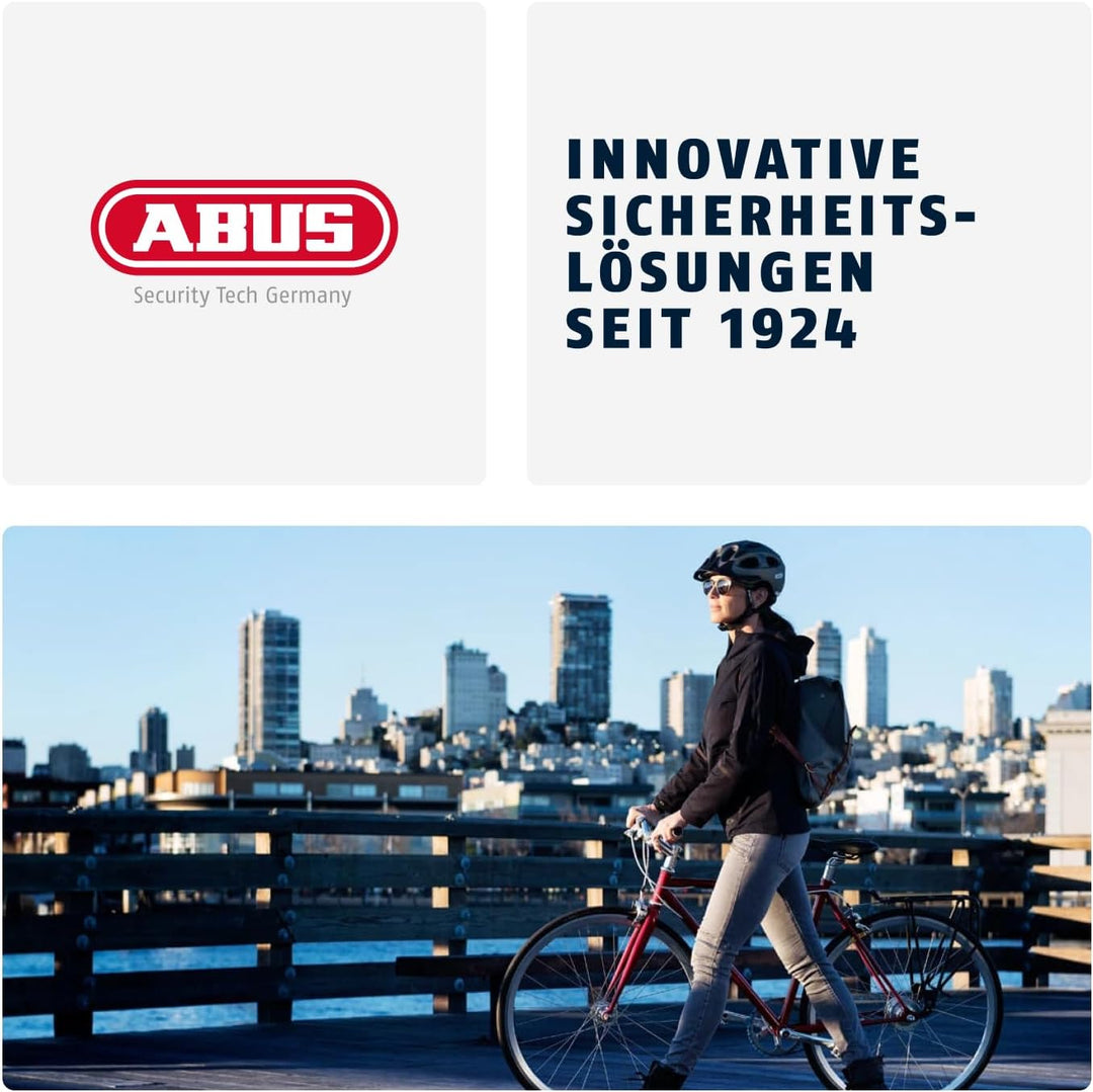 ABUS Bügelschloss Granit XPlus 540 + USH-Halterung 23 cm Schwarz/Orange, 23 cm Schwarz/Orange