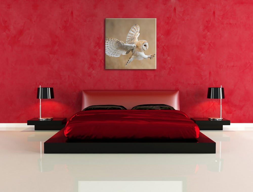 Pixxprint Fliegende Weisse Eule bei der Jagd, Format: 70x70 auf Leinwand, 70x70