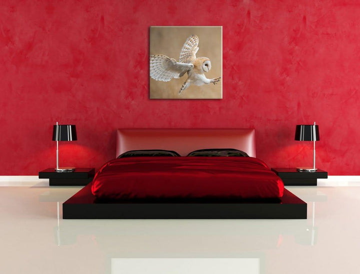 Pixxprint Fliegende Weisse Eule bei der Jagd, Format: 70x70 auf Leinwand, 70x70
