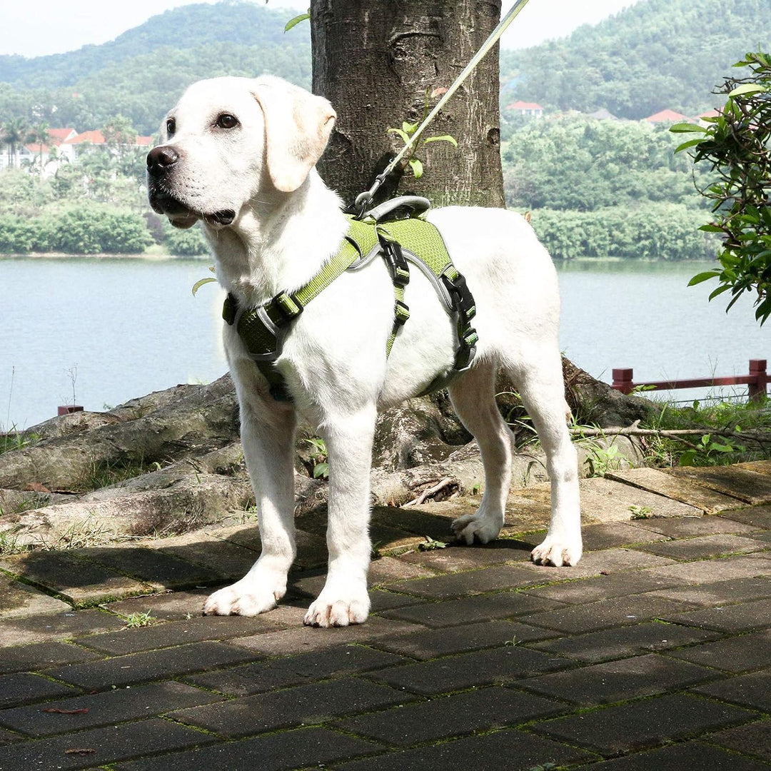 BELPRO Mehrzweck-Hundegeschirr, ausbruchsicher, kein Ziehen, reflektierend, verstellbare Weste mit s