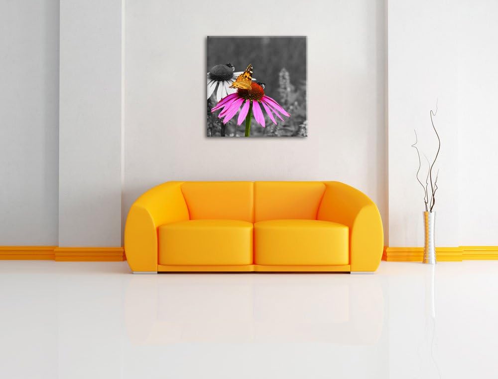 Pixxprint Schmetterling auf Kornblume als Leinwandbild Quadratisch/Grösse: 70x70 / Wandbild/Kunstdru