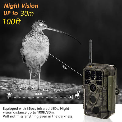 WLAN Wildkamera WiFi Wildtierkamera Nachtsichtkamera Fotofalle 32MP 1296P Verbinden druch APP Blueto