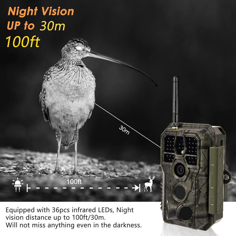 WLAN Wildkamera WiFi Wildtierkamera Nachtsichtkamera Fotofalle 32MP 1296P Verbinden druch APP Blueto