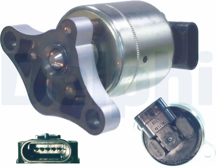 Delphi EG10003-12B1 Agr-Ventil