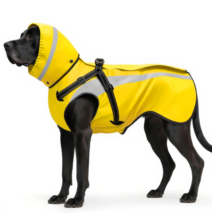 Hund Regenmantel wasserdichte Regenmäntel für Hunde Regenjacken mit Kapuze Haustier Regen Poncho Man