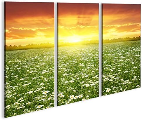 islandburner Bild Bilder auf Leinwand Blumenwiese 3p XXL Poster Leinwandbild Wandbild Art up Your Li