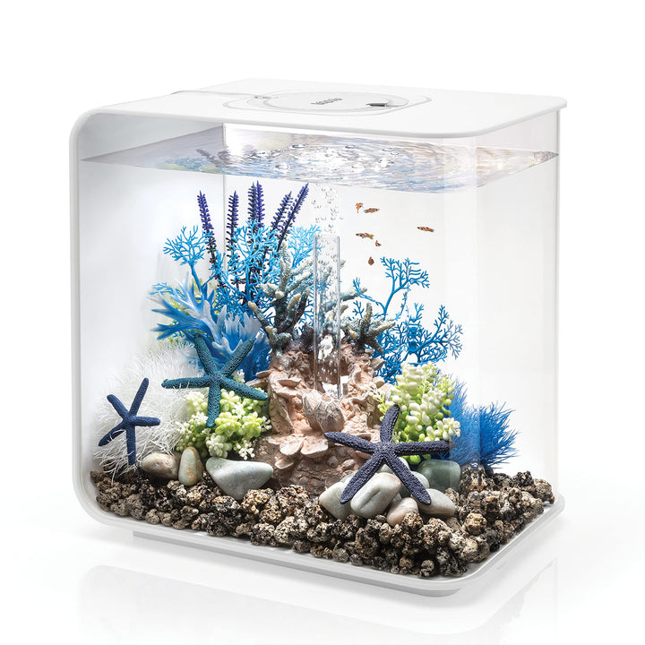 biOrb 72034 FLOW 30 LED in weiss – elegantes Design-Aquarium Komplett-Set mit Filter-System, LED-Bel
