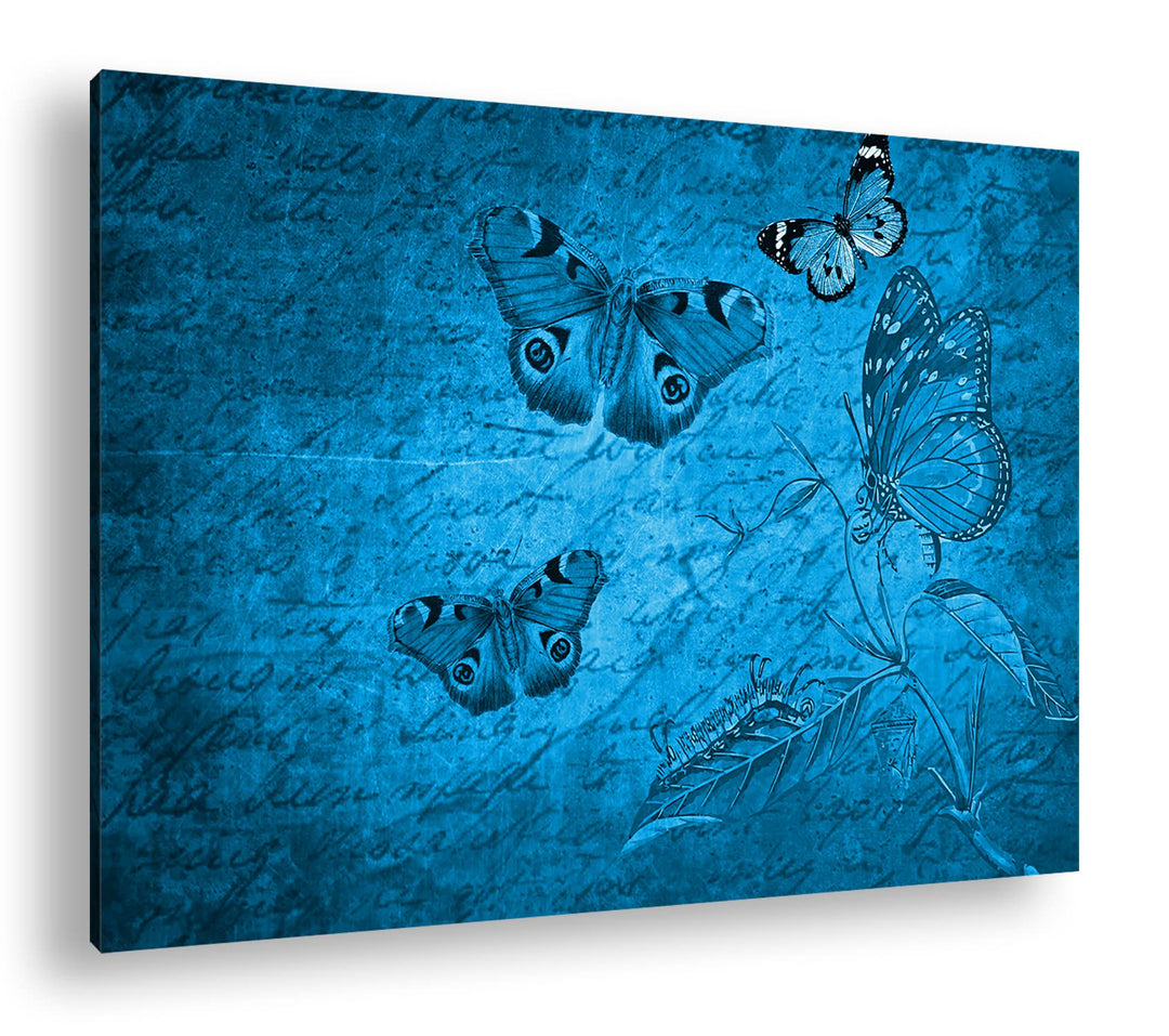 deyoli Briefpapier mit Schmetterlingen Format 80x60 Effekt: Monocrome Blau als Leinwandbild, Motiv f