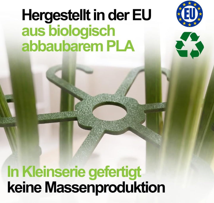 PLANTINITY - Pflanzenstütze Ring 15 cm Hero Light M - 5 Stück - Pflanzenhalter für Zimmerpflanzen -