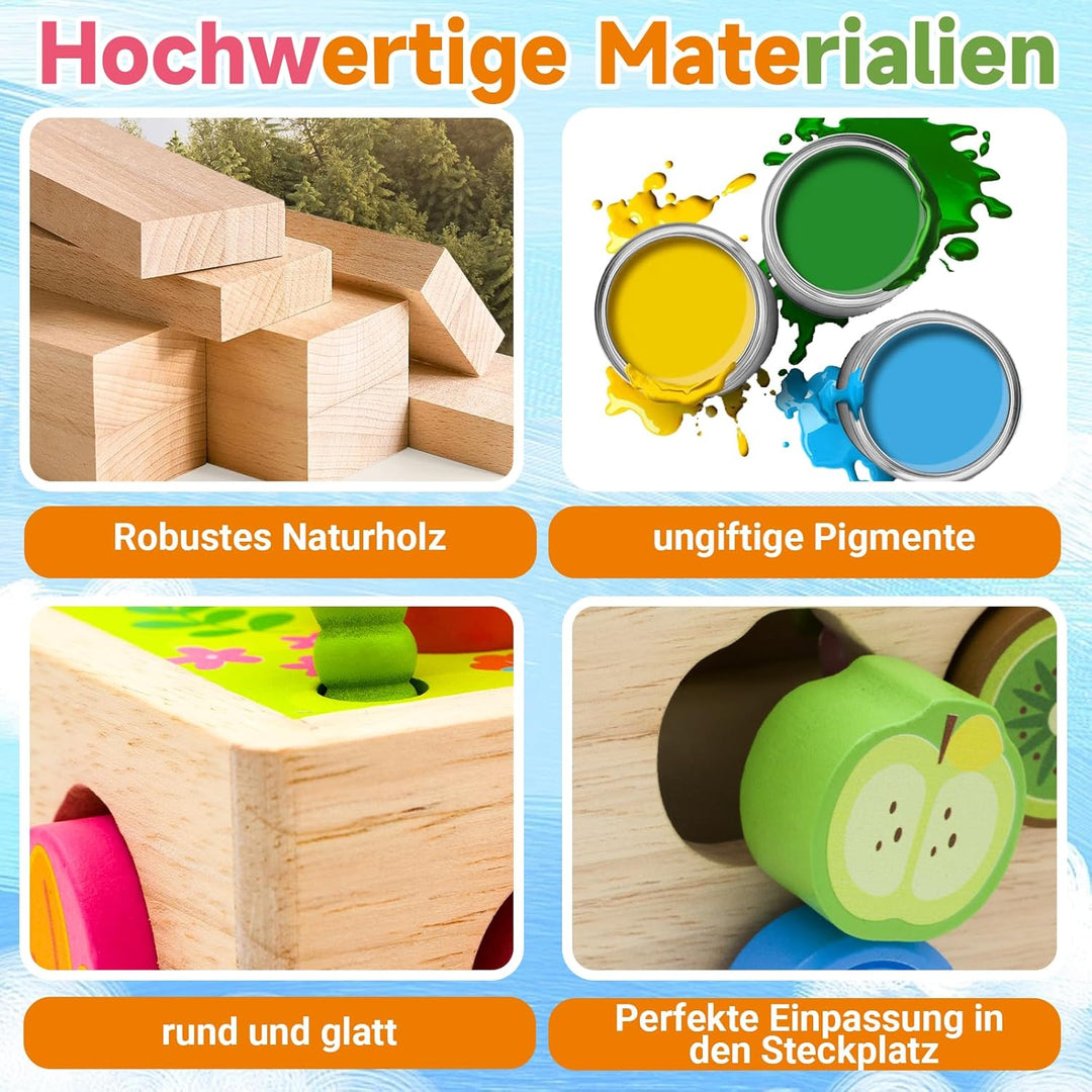 RunHero Montessori Holz Sortierspie Karotten Steckspiel Holzspielzeug ab 1 Jahr Holztiere Motorikspi
