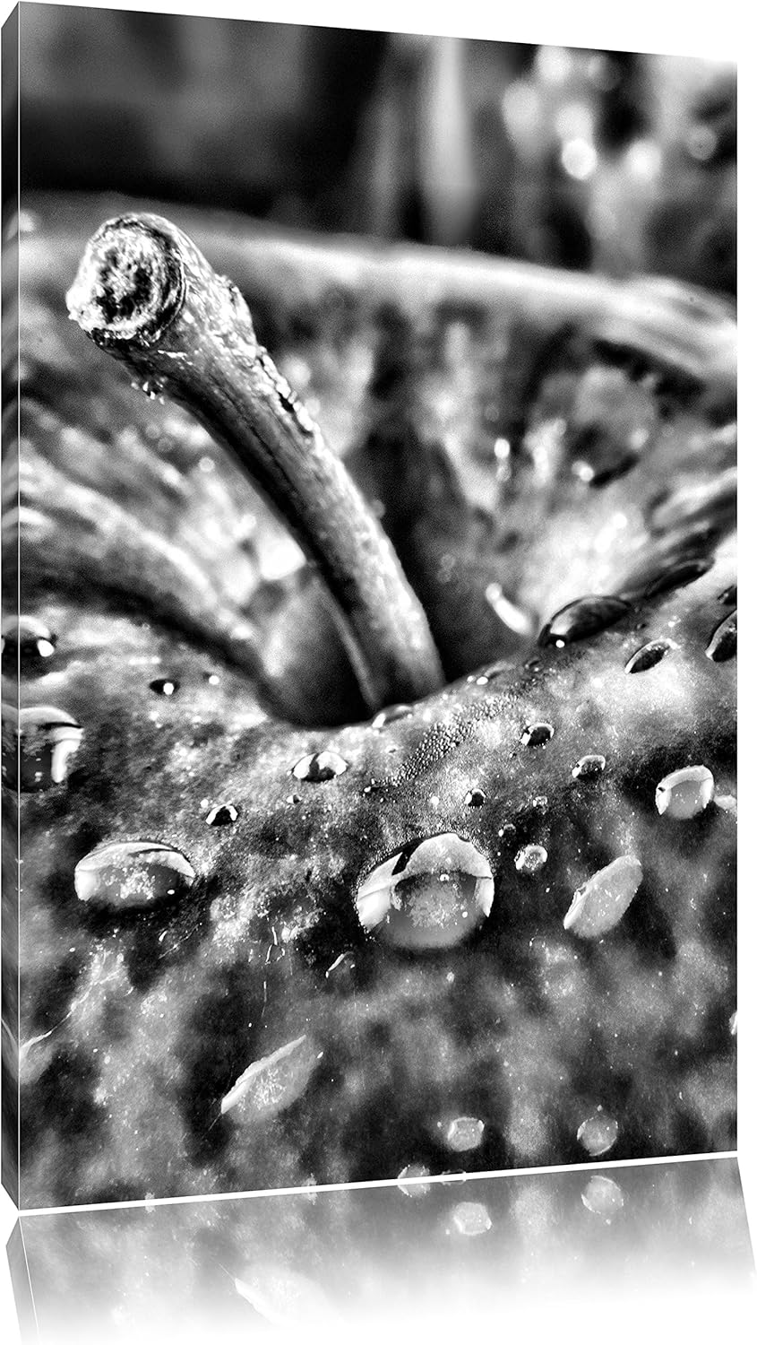 Monocrome, Apfel, Format: 100x70 auf Leinwand, XXL riesige Bilder fertig gerahmt mit Keilrahmen, Kun