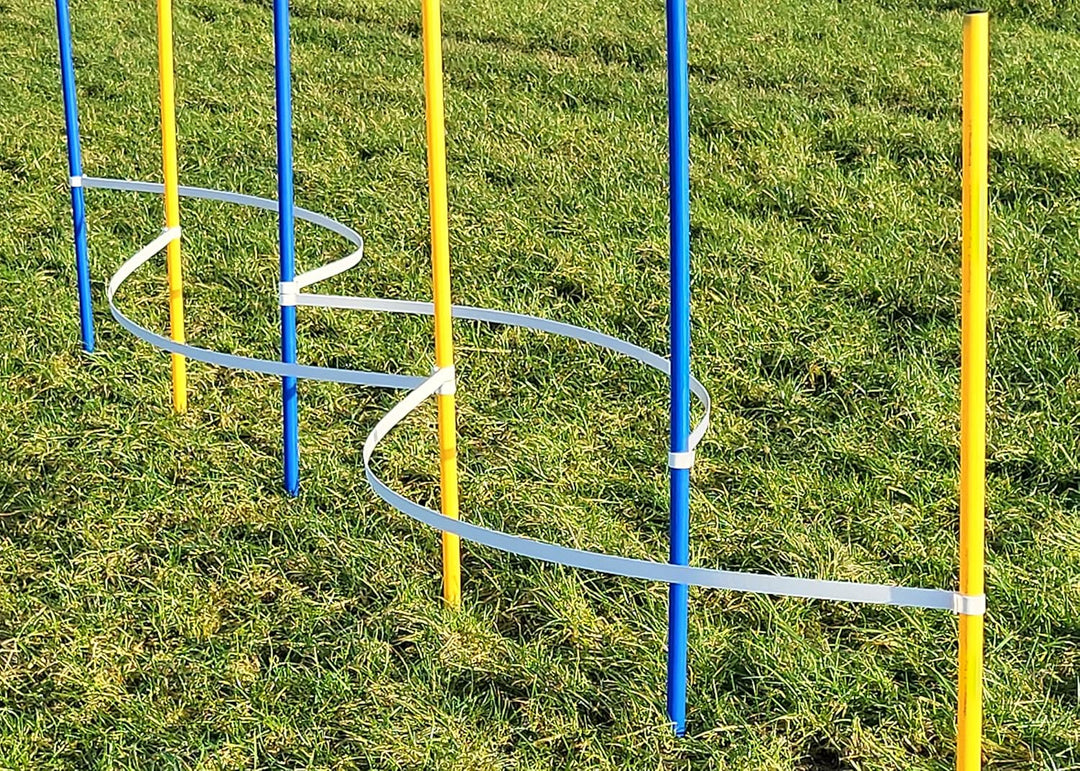 Agility - Slalom - AUSBILDUNGSSET MIT 4 SLALOMBÖGEN/TRAININGSBÖGEN + 6 SLALOMSTANGEN GELB/BLAU