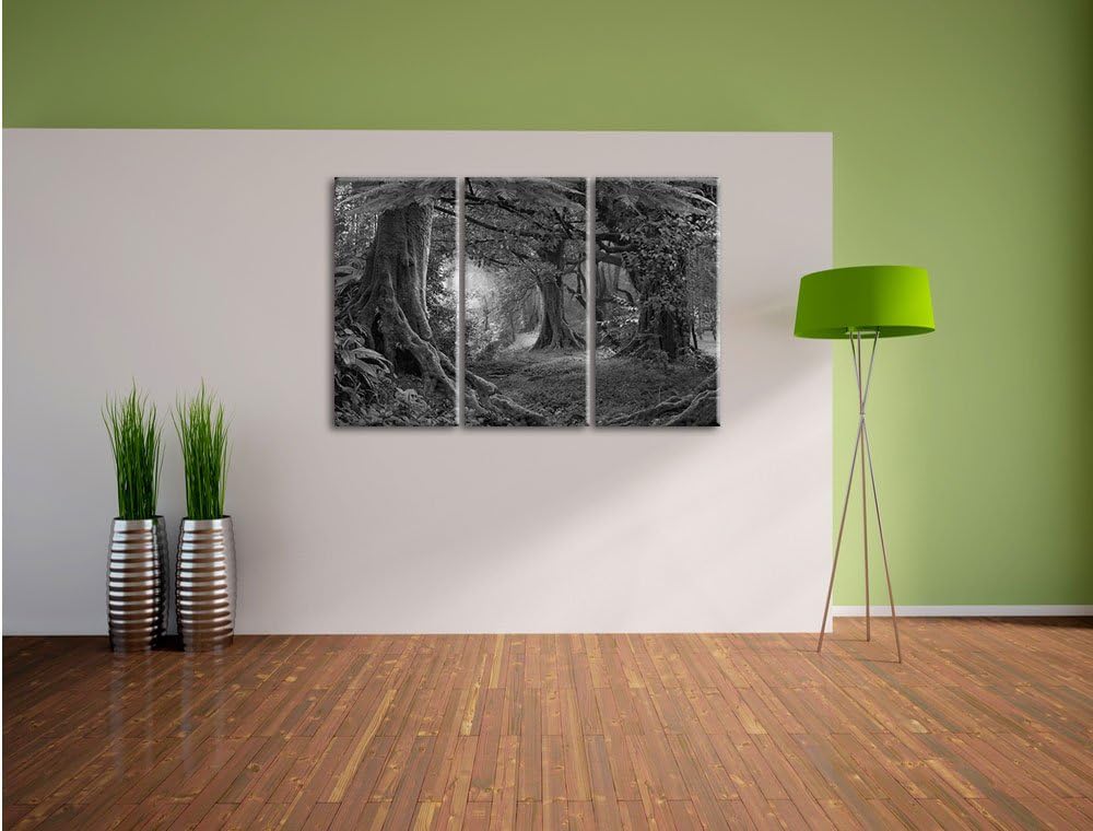 Pixxprint Dschungel im Regenwald als Leinwandbild/Grösse: 3 Teilig (120x80 cm) cm/Wandbild/Kunstdruc