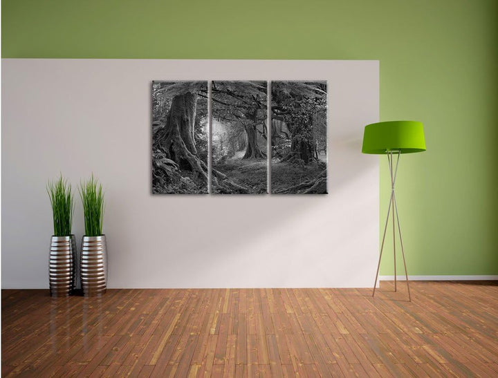 Pixxprint Dschungel im Regenwald als Leinwandbild/Grösse: 3 Teilig (120x80 cm) cm/Wandbild/Kunstdruc