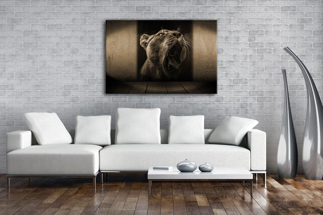 deyoli brüllende Löwin Format: 80x60 Effekt: Sepia als Leinwand, Motiv fertig gerahmt auf Echtholzra