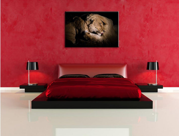 Pixxprint Männer & Frauen Löwe kuscheln, Format: 100x70 auf Leinwand, 100x70