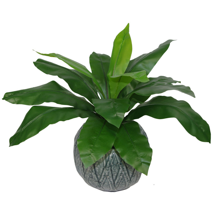 Leaf Künstlicher Vogelnest Farn, 50 cm, schwarzer Kunststofftopf, 50 cm Standard, LEAF-7081, 50 Cm S