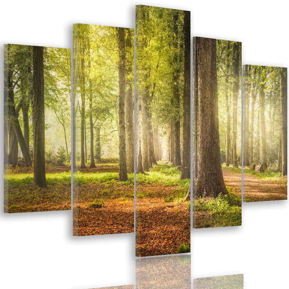 Feeby Leinwandbild Landschaft 5 TLG Bild Kunstdruck Bäume Wald Natur Blätter bunt 250x120 cm Leinwan