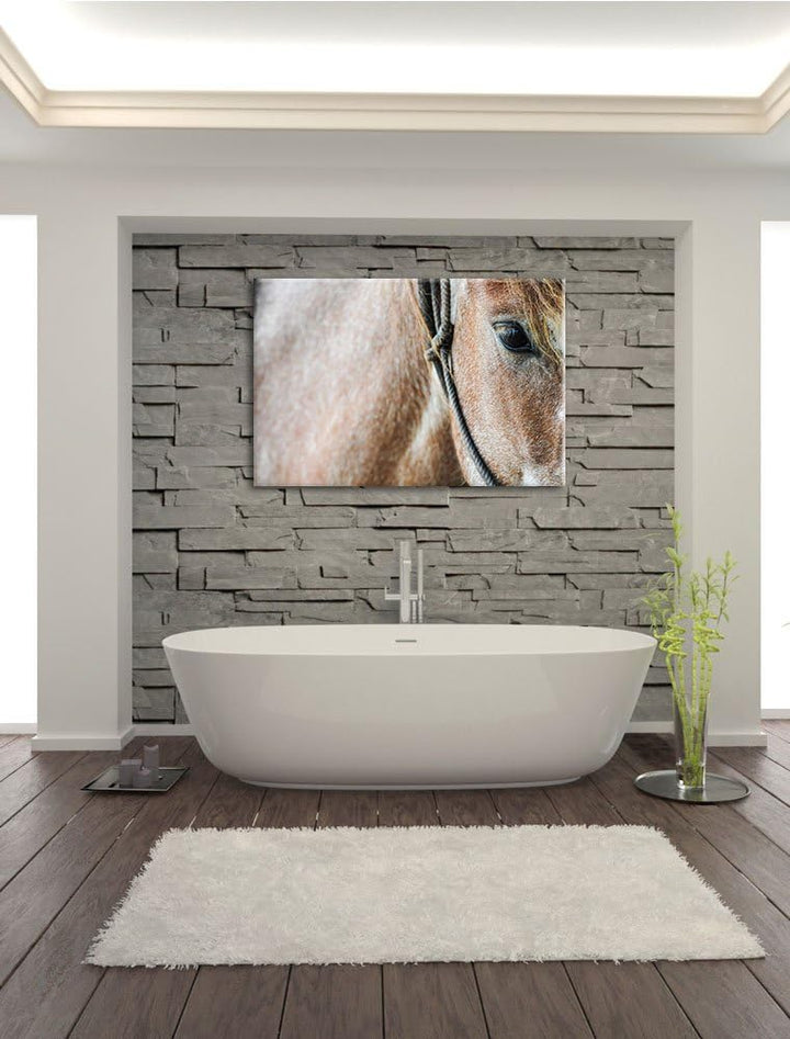 Pixxprint prachtvolles Pferd auf Leinwand, XXL riesige Bilder fertig gerahmt mit Keilrahmen, Kunstdr