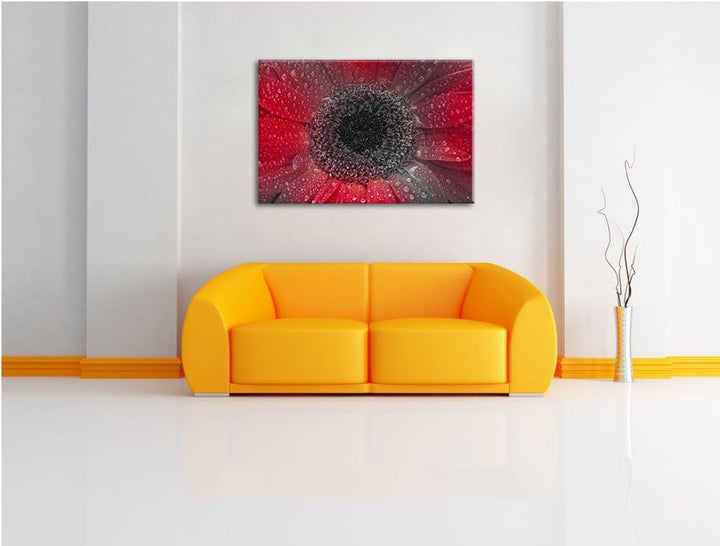 Rote Gerbera mit Wassertropfen schwarz/weiss Format: 100x70 auf Leinwand, XXL riesige Bilder fertig