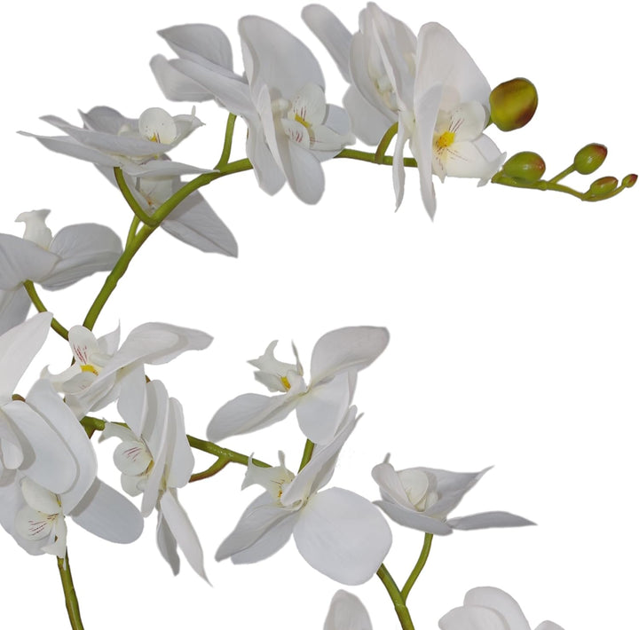 Leaf Kunstpflanze Orchidee, Blätter, 60 cm, gross, Weiss, 60cm Large White, LEAF-7040 60cm Large Whi