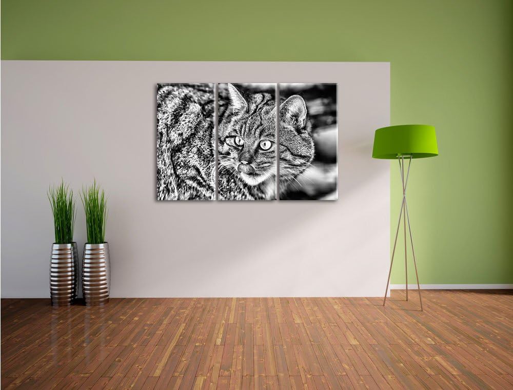 Pixxprint schöne Manul in Schneelandschaft als Leinwandbild/Grösse: 3 Teilig (120x80) cm/Wandbild/Ku