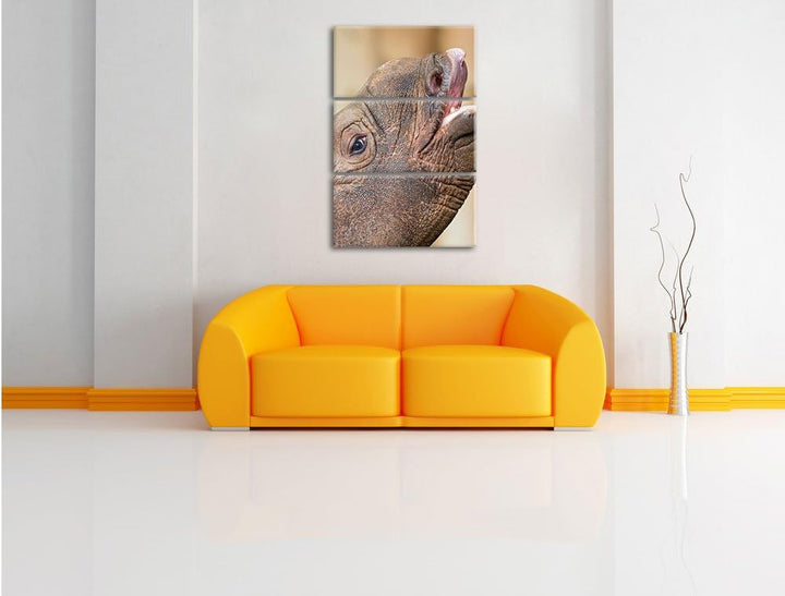 Nashorn 3-Teiler Leinwandbild 120x80 Bild auf Leinwand, XXL riesige Bilder fertig gerahmt mit Keilra