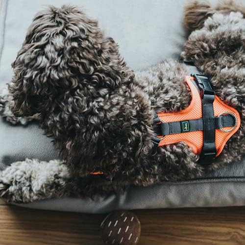 HUNTER Geschirr Maldon 34-49/XS Orange/Grau XS, Orange/Grau XS