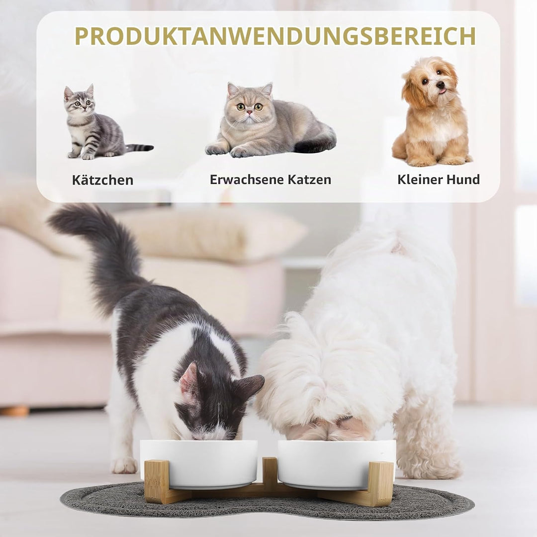 Katzennapf, 2 Stück Keramik Futternapf Katze Set, 3-in-1 rutschfeste Katzennäpfe mit Holzstände und