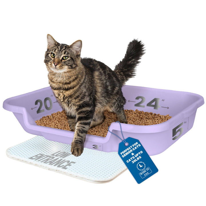 KittyGoHere Senior-Katzentoilette, niedriger Einstieg, komfortable Grösse, ideal für ältere und arth