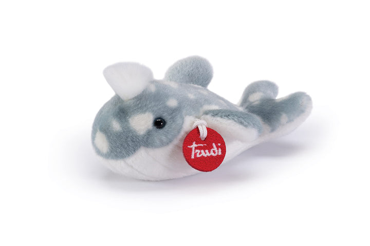 Trudino Wal XS Modern, Modern