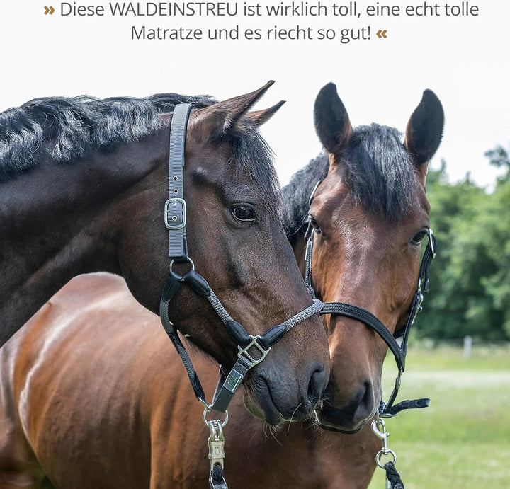 STRÖH Waldeinstreu - Naturbelassene Holzschnitzel - Stall Einstreu - 60L | Staubfrei &amp; geruchsneutra