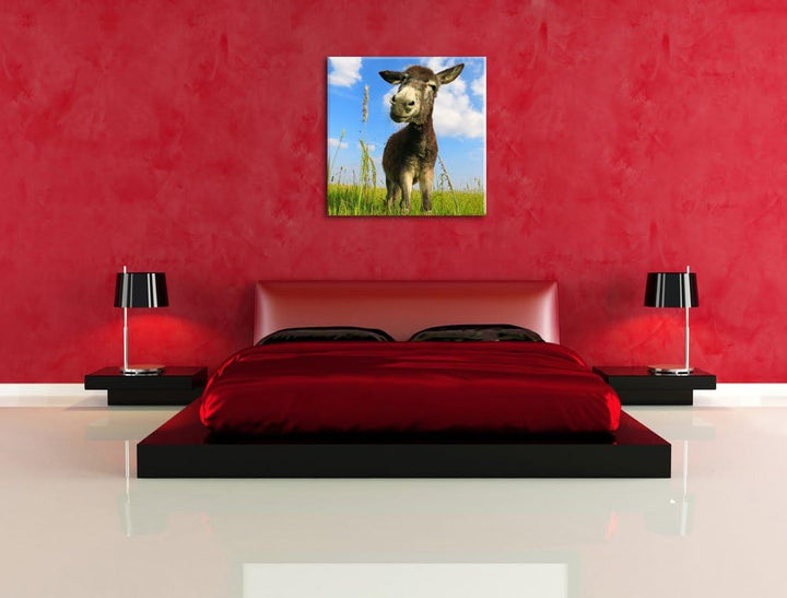 Pixxprint Esel in einem Feld als Leinwandbild/Grösse: 70x70 cm/Wandbild/Kunstdruck/fertig bespannt,