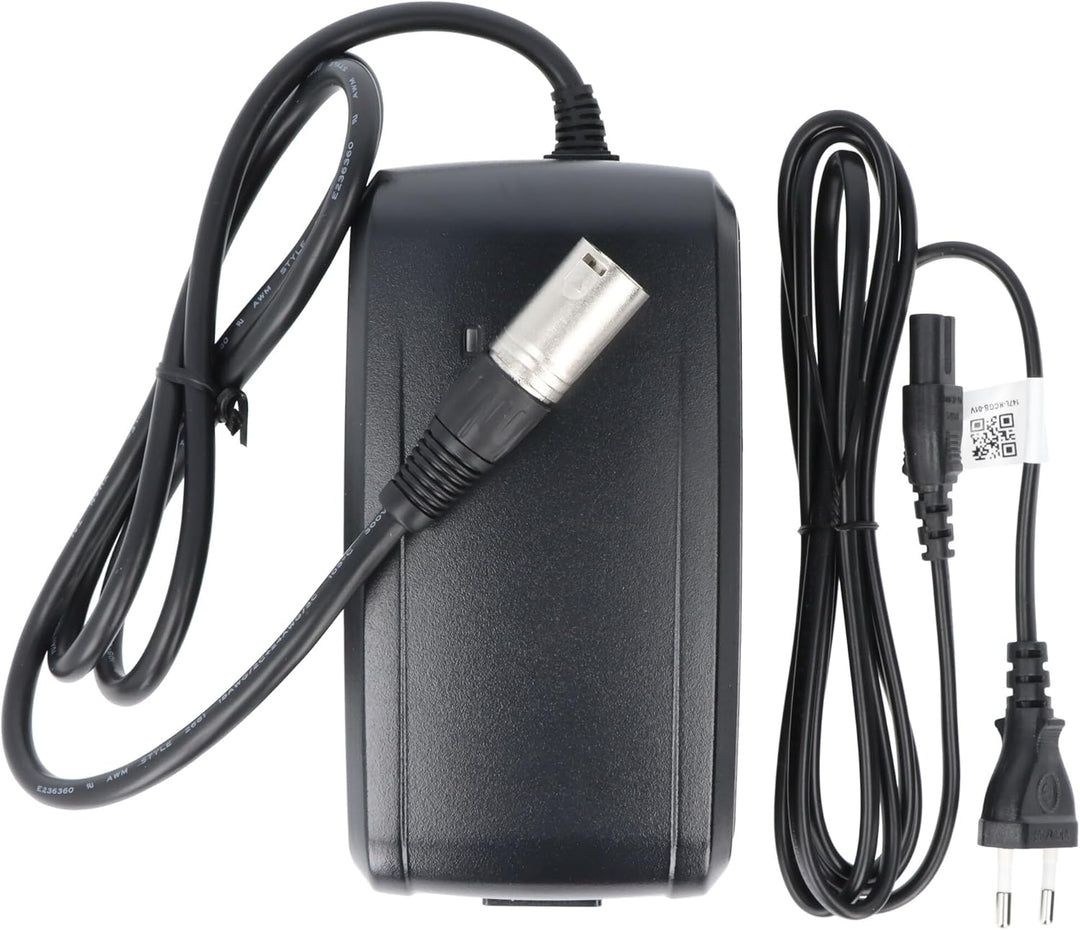 Riesenergypak -Batterieladegerät 41,8 V 5 Pins