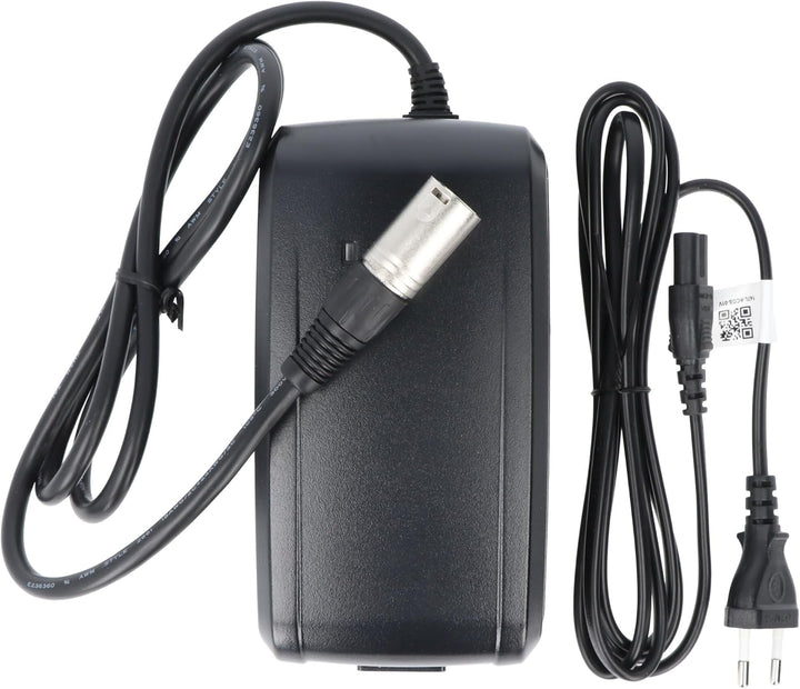 Riesenergypak -Batterieladegerät 41,8 V 5 Pins