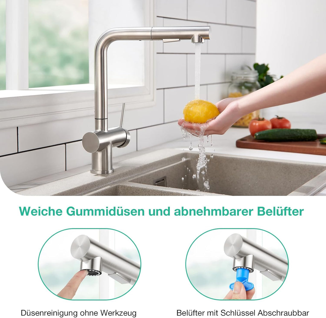 Faustina Einhebelmischer Küchenarmatur mit Brause Ausziehbar, Mischbatterie Spültischarmatur Armatur