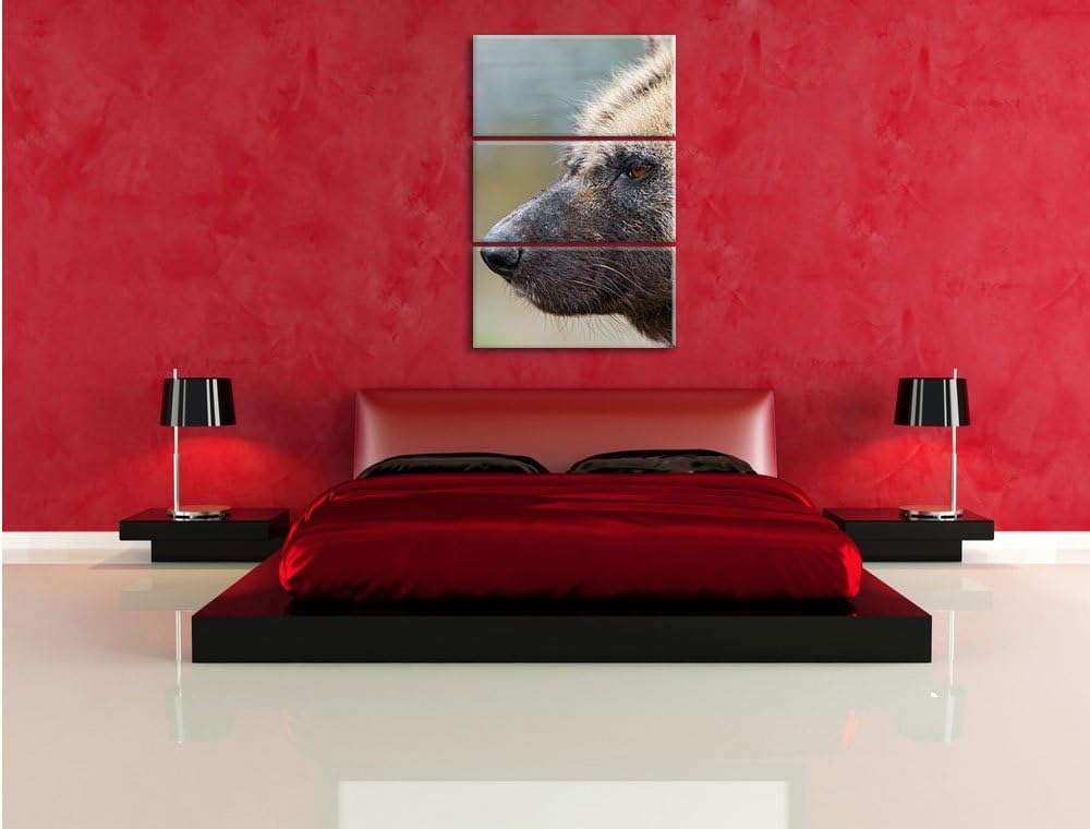 Pixxprint Hyäne im Seitenprofil als Leinwandbild/Grösse: 3 Teilig (120x80) cm/Wandbild/Kunstdruck/fe