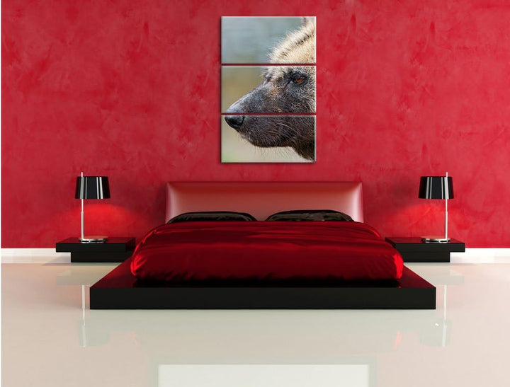 Pixxprint Hyäne im Seitenprofil als Leinwandbild/Grösse: 3 Teilig (120x80) cm/Wandbild/Kunstdruck/fe