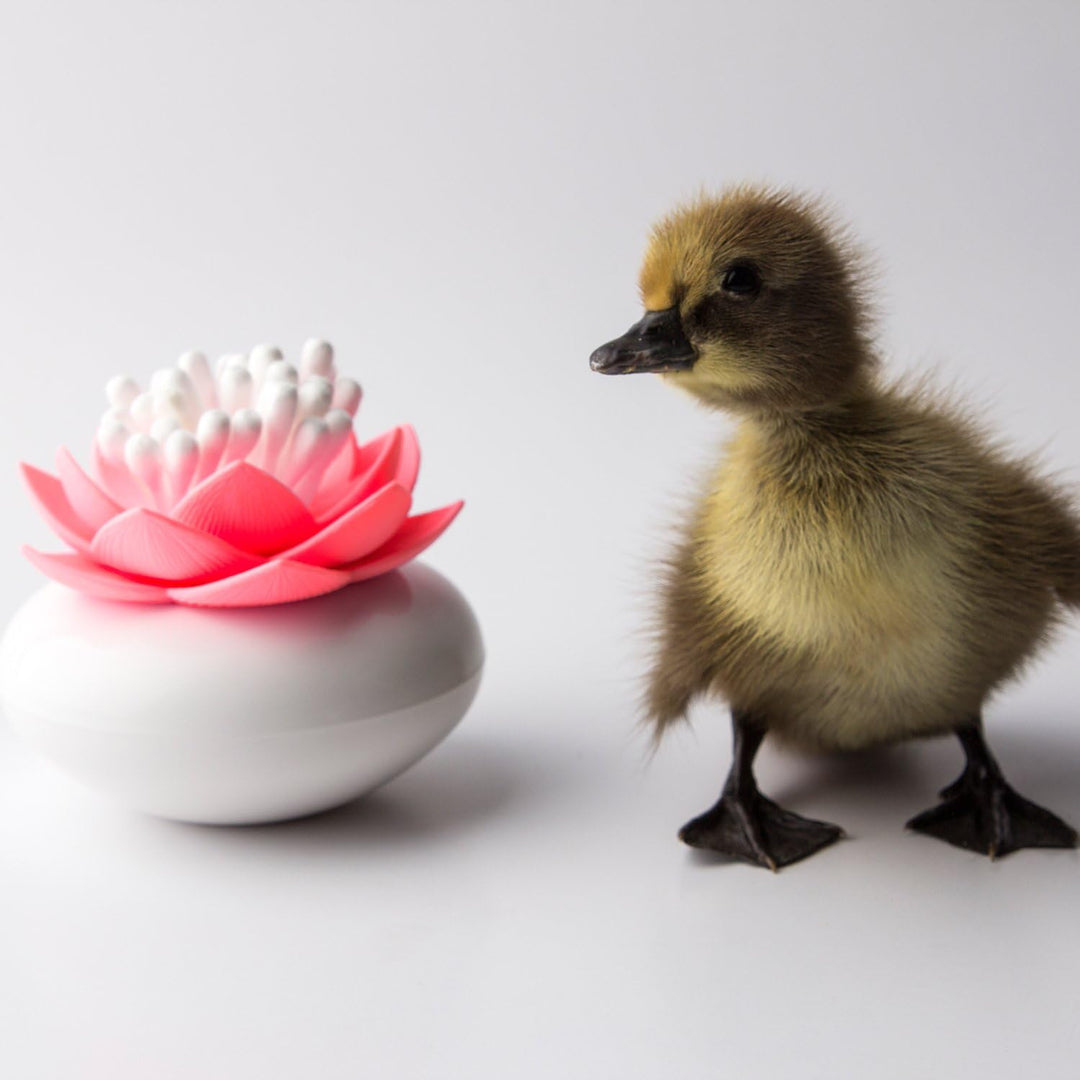 Qualy Behälter für Wattestäbchen, Kunststoff, Rosa QL10157W-P