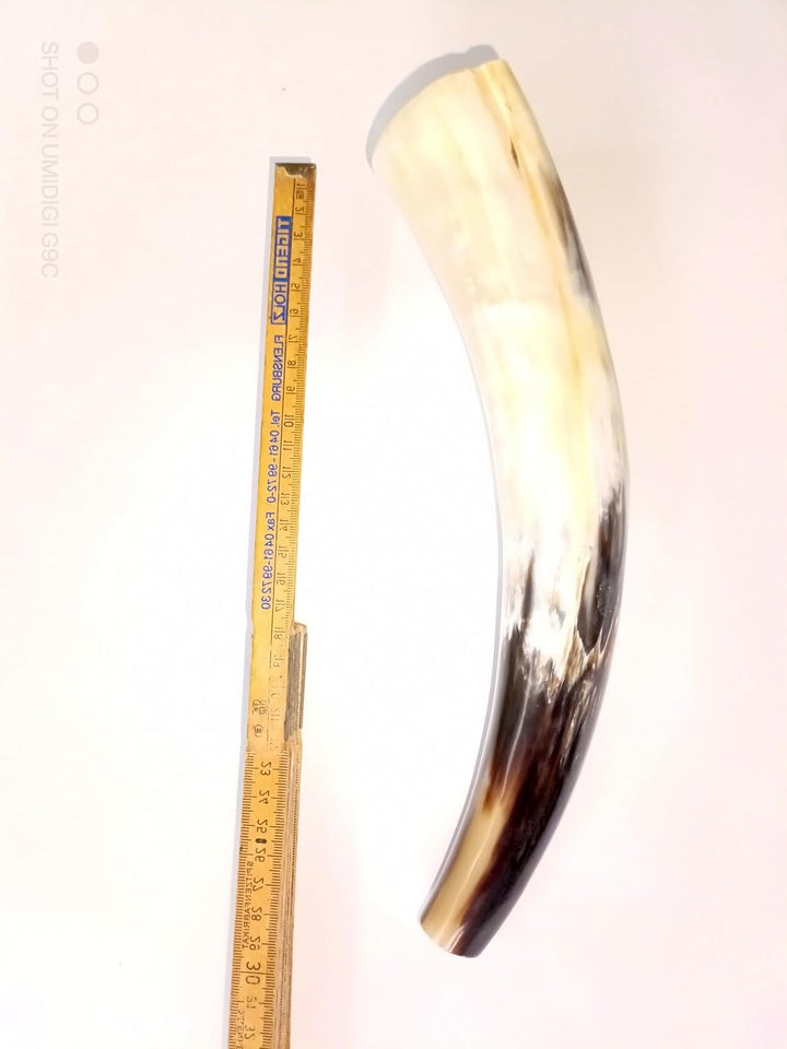 Rufhorn-Signalhorn-Hirschlocker 25-30 cm, poliert