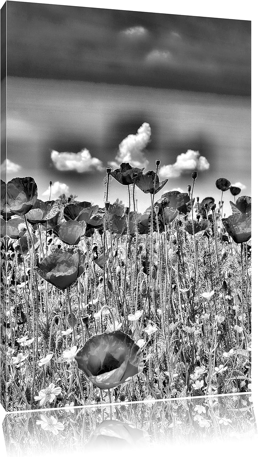 Monocrome, Mohnwiese, Format: 100x70 auf Leinwand, XXL riesige Bilder fertig gerahmt mit Keilrahmen,