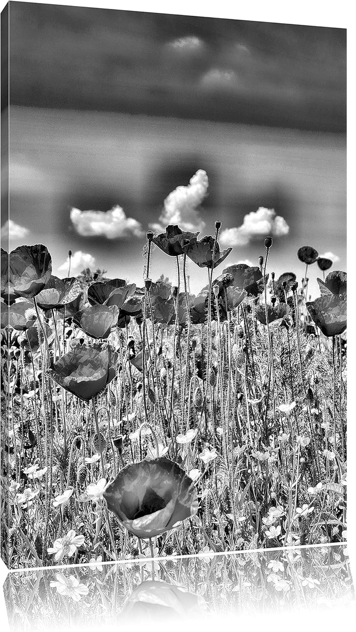 Monocrome, Mohnwiese, Format: 100x70 auf Leinwand, XXL riesige Bilder fertig gerahmt mit Keilrahmen,