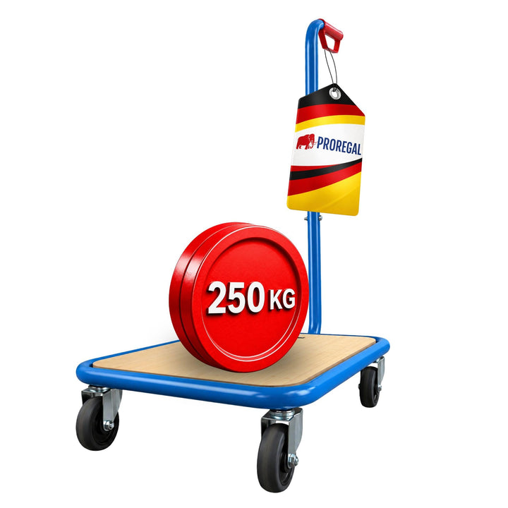 PROREGAL Profi Griffroller | HxBxT 96x50x60 cm | Traglast 250kg | 2X Lenkrollen mit Feststellbremse