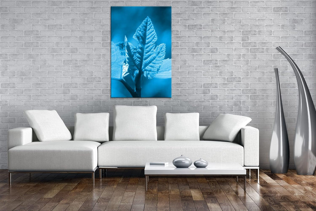 deyoli frischer Sprössling Format 80x60 Effekt: Monocrome Blau als Leinwandbild, Motiv fertig gerahm