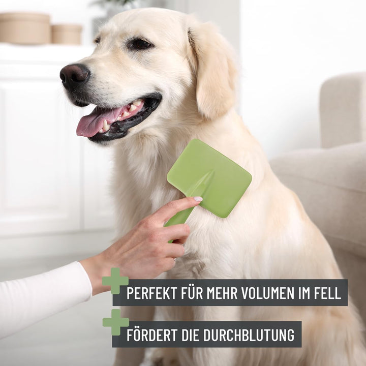 TESTURTEIL SEHR GUT 05/24 ReaVET Hundebürste, Katzenbürste, Zupfbürste für Langhaar Hunde & Katzen I