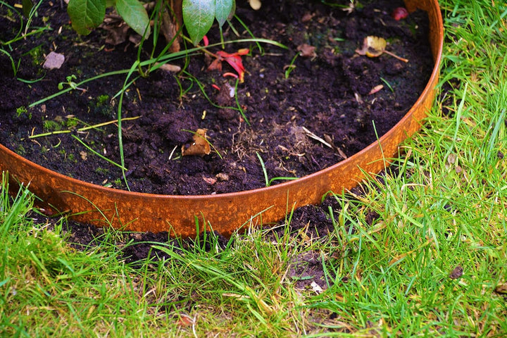 Rasenkanten Baumring Corten Kreis Ø 75 cm x 12 cm Edelrost - 1er Set