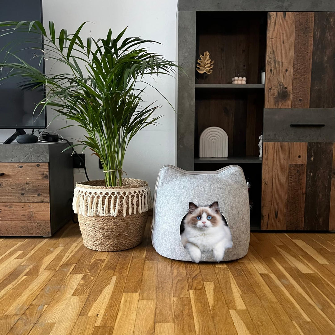 Katzenhöhle Filz für Katzen. Katzen Bett. Bed Rest. Cat Bed. Katzenbett Höhle und Katzen Kissen Inbe