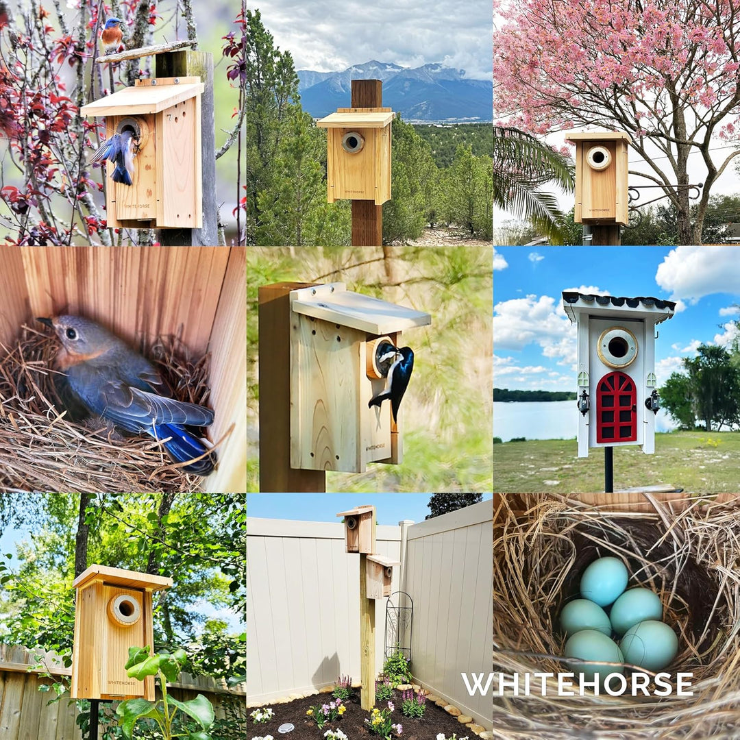 WHITEHORSE Premium-Vogelhaus und Nistkasten – wetterfestes Design – EIN Nistkasten aus Zedernholz –