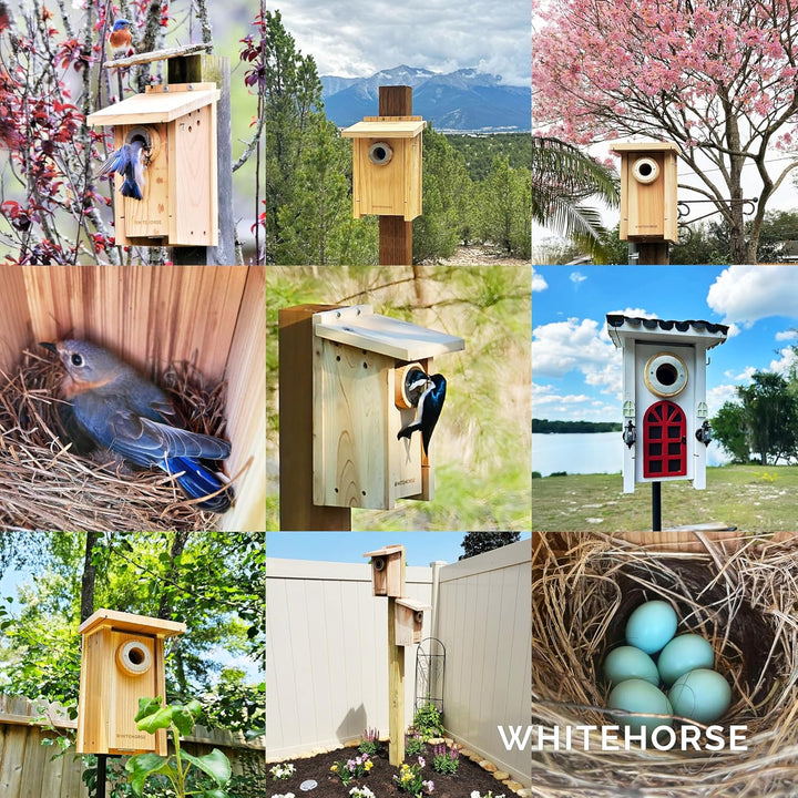 WHITEHORSE Premium-Vogelhaus und Nistkasten – wetterfestes Design – EIN Nistkasten aus Zedernholz –