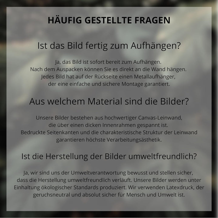 Forwall Bilder Tiger schwarz weiss Tiere Modern Schlafzimmer Wohnzimmer Leinwandbilder Wandbild Kuns